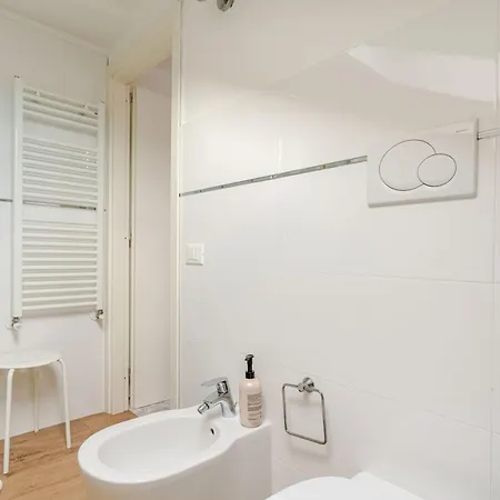The White Attic